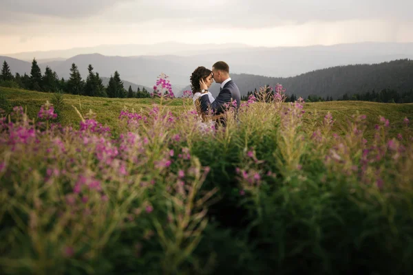 dağlarda yürüyüş Düğün çifti