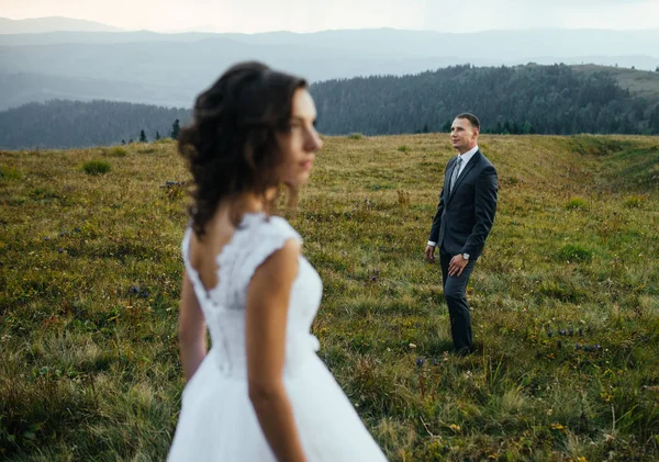 Casal de casamento andando nas montanhas — Fotografia de Stock