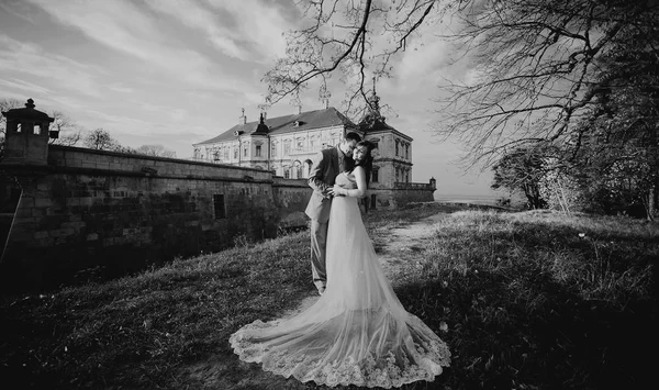 Portrait de beau couple de mariage — Photo