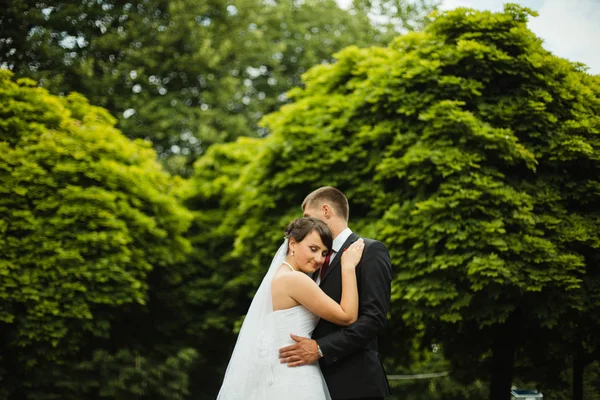 Retrato de belo casal de casamento — Fotografia de Stock