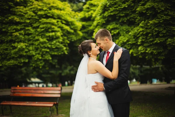 Retrato de belo casal de casamento — Fotografia de Stock