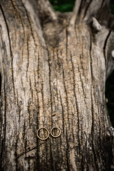 Belos anéis de casamento — Fotografia de Stock