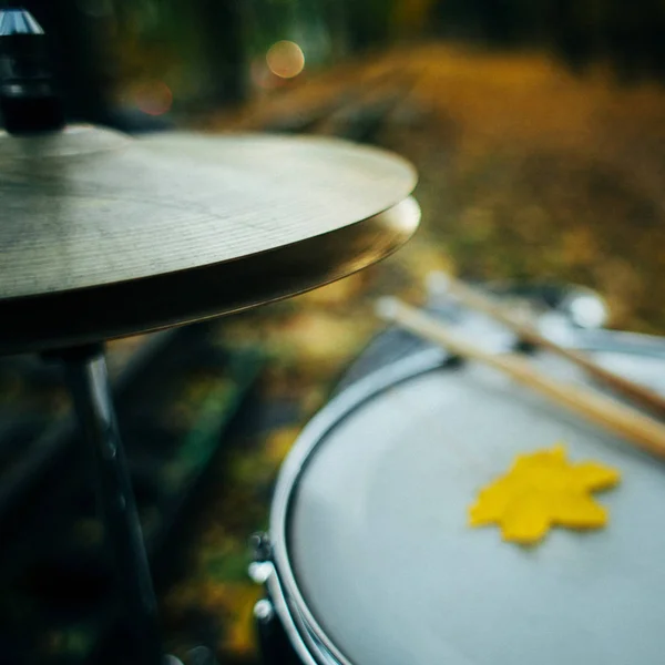 Hoja amarilla y tambor — Foto de Stock