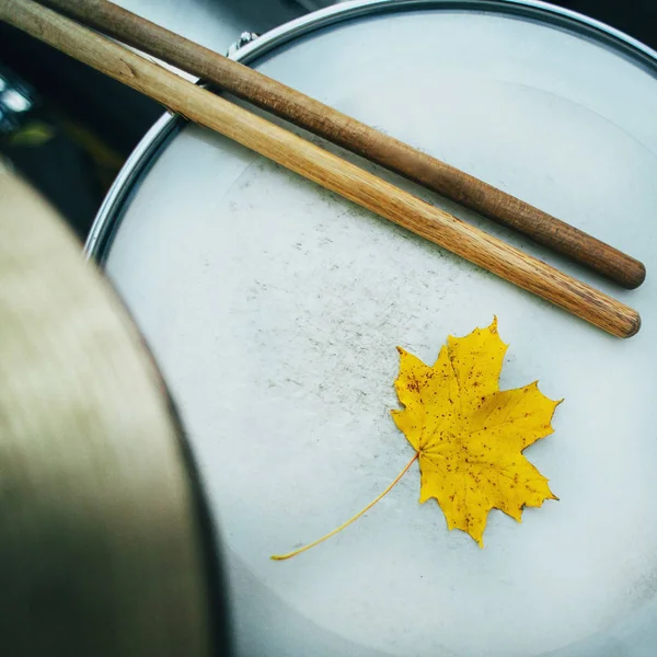 노란 잎과 드럼 — 스톡 사진