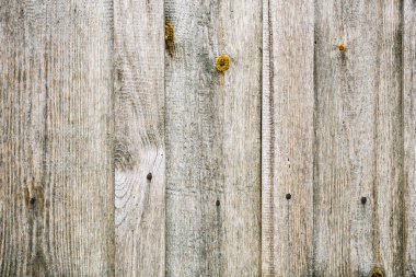 Teak ahşap boş ve beyaz.