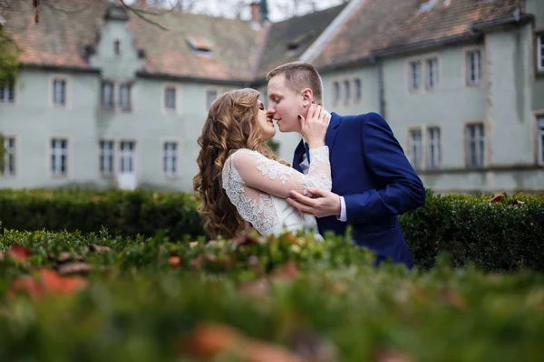 Novia y novio en el día de la boda — Foto de Stock