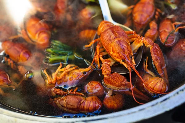 Cangrejos de río recién cocidos — Foto de Stock