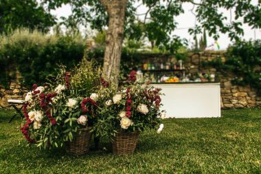 arka bahçe yeşil çayır ile 