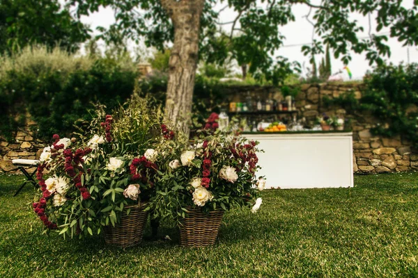 arka bahçe yeşil çayır ile 