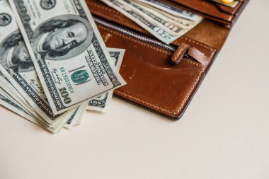 Dolar nakit bir kahverengi cüzdan 