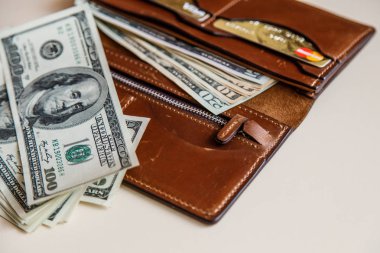 Dolar nakit bir kahverengi cüzdan 