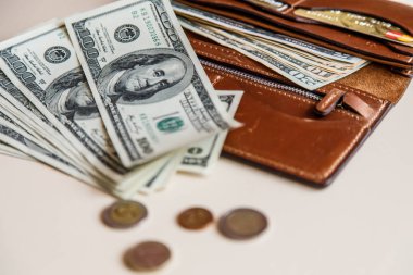 Dolar nakit bir kahverengi cüzdan 