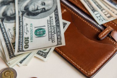 Dolar nakit bir kahverengi cüzdan 