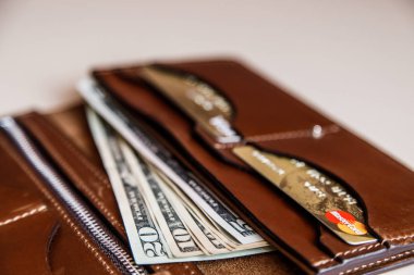 Dolar nakit bir kahverengi cüzdan 