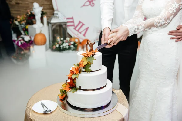 Noiva e noivo cortando o bolo de casamento — Fotografia de Stock