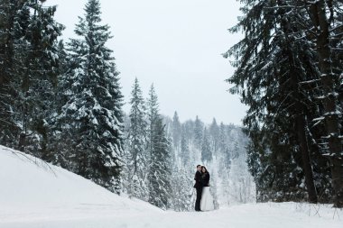  Gelin ve damat kış orman