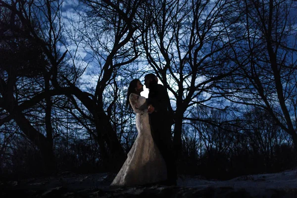 Mariée et marié dans la forêt d'hiver — Photo