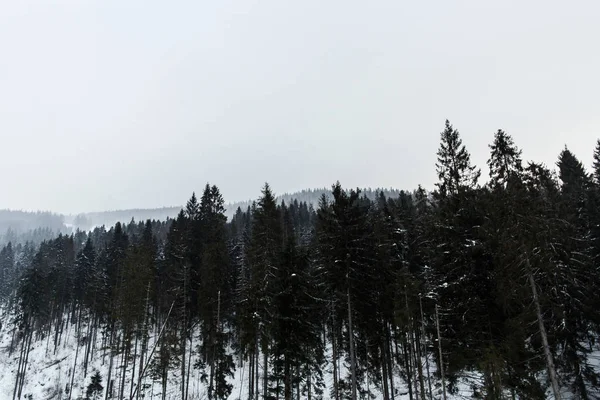 Muhteşem kış manzarası. 