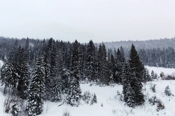 Fantastic winter landscape. — Stock Photo, Image