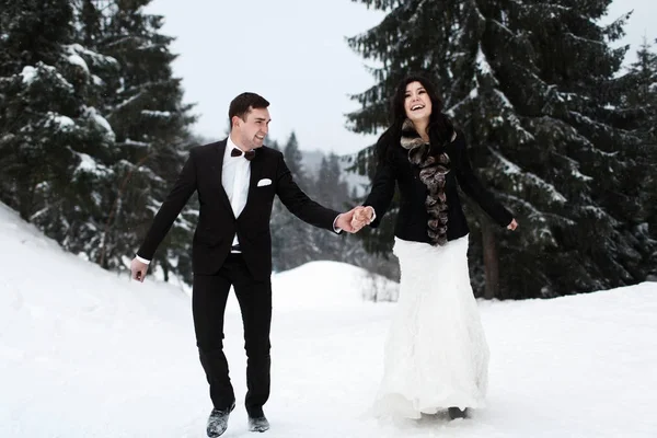  Gelin ve damat kış orman