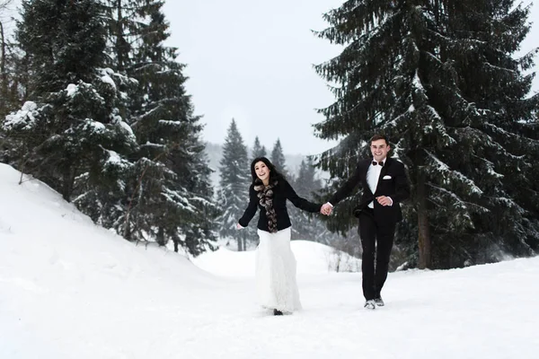  Gelin ve damat kış orman