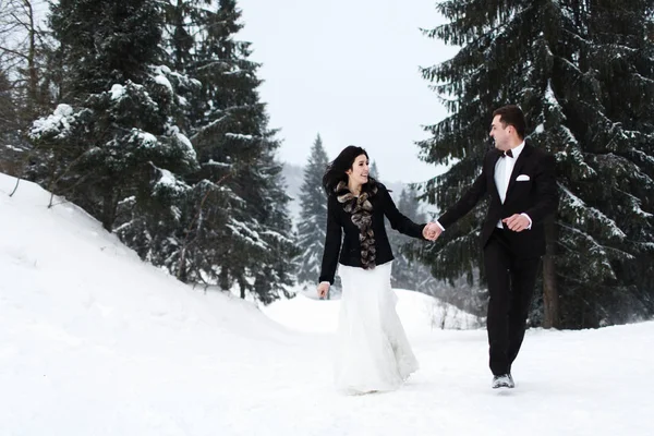  Gelin ve damat kış orman