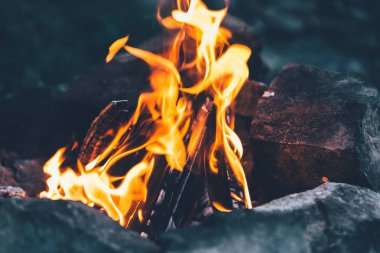  Sparks ormandaki ile şenlik ateşi