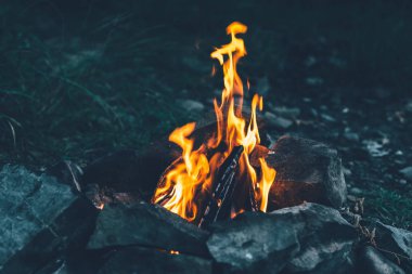  Sparks ormandaki ile şenlik ateşi