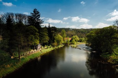 Muhteşem yaz manzara