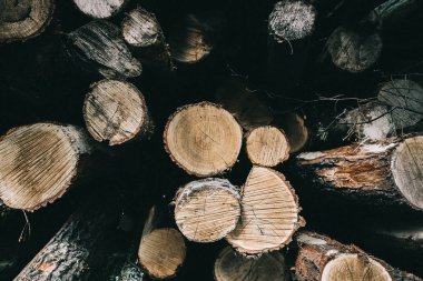 Ahşap Arkaplan Dokusu