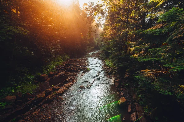 Paysage fantastique de la rivière — Photo