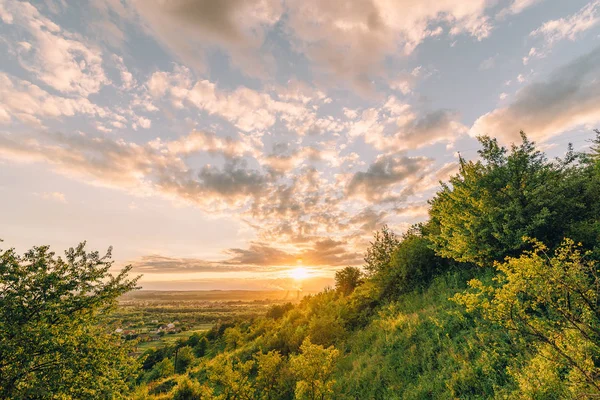 Hermoso atardecer con hierba verde —  Fotos de Stock