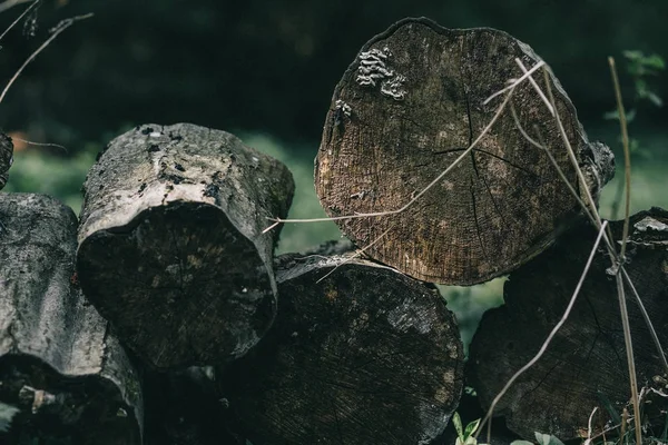 Textura de fundo de madeira — Fotografia de Stock