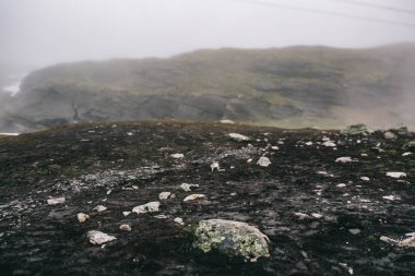 Yeşil dağlar manzarası