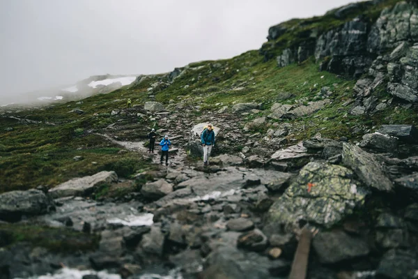 Hikers on mountain with backpacks — Stock Photo, Image