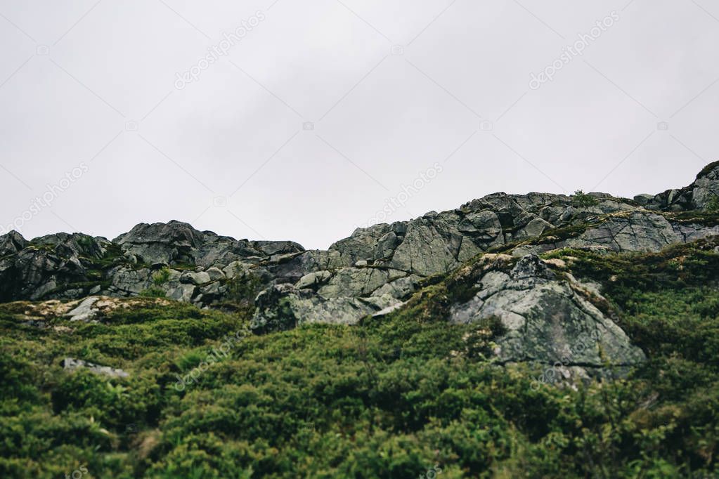 Green  mountains landscape