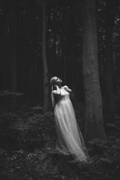 Belle Jeune Femme Robe Longue Posant Forêt — Photo