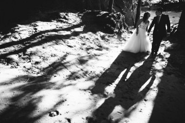 Muhteşem gelin ve şık damat yürüyüş güneşli manzara, Düğün çifti, şaşırtıcı ile lüks töreni dağlar