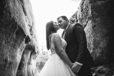 Muhteşem gelin ve şık damat yürüyüş güneşli manzara, Düğün çifti, muhteşem manzaralı lüks töreni dağlar