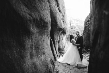 Muhteşem gelin ve şık damat yürüyüş güneşli manzara, Düğün çifti, muhteşem manzaralı lüks töreni dağlar