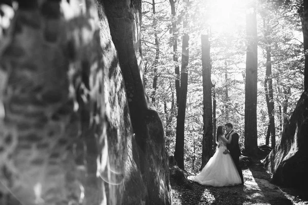 Linda Noiva Noivo Elegante Andando Paisagem Ensolarada Casal Casamento Montanhas — Fotografia de Stock