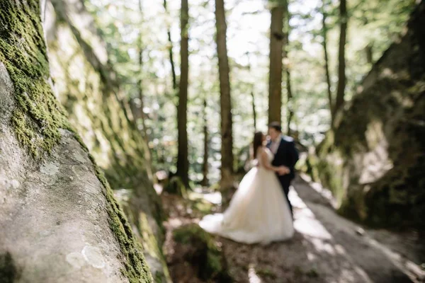 Wunderschöne Braut Und Stilvoller Bräutigam Wandern Sonniger Landschaft Hochzeitspaar Luxuriöse — Stockfoto