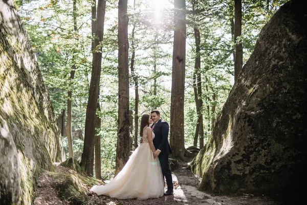 豪華な晴れた風景 結婚式のカップルに素晴らしい高級式山歩いてスタイリッシュな新郎新婦 — ストック写真