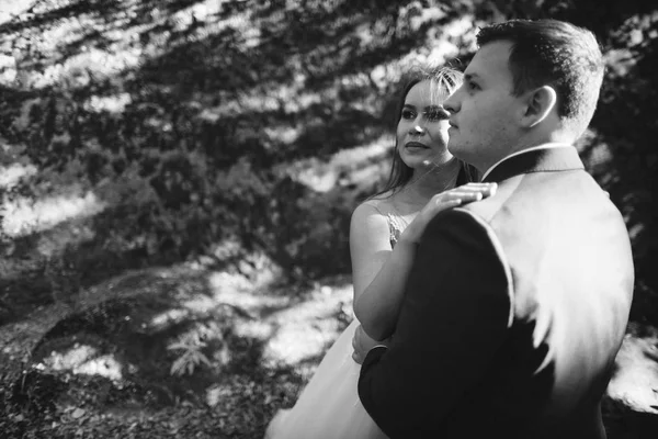 Linda Noiva Noivo Elegante Andando Paisagem Ensolarada Casal Casamento Montanhas — Fotografia de Stock