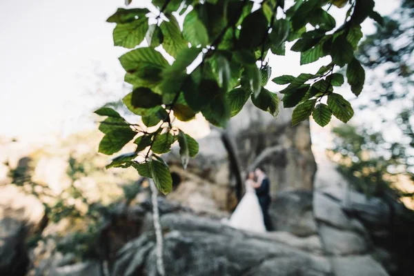 华丽的新娘和时尚的新郎走在阳光明媚的风景 新婚夫妇 豪华的仪式山与惊人的看法 — 图库照片
