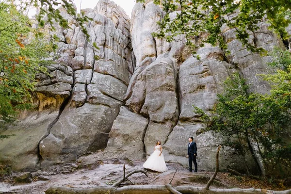 豪華な晴れた風景 結婚式のカップル 素晴らしい景色と豪華な式山で歩いているスタイリッシュな新郎新婦 — ストック写真