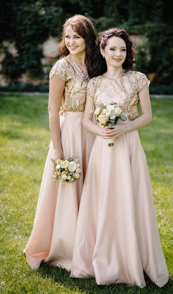 Deslumbrantes damas de honor caminan sonriendo por el camino —  Fotos de Stock