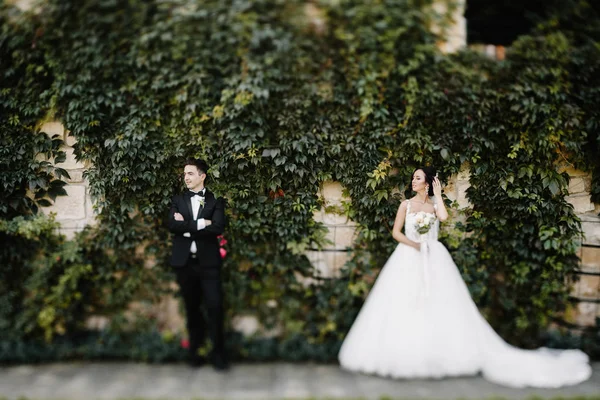 Подивіться Зверху Красиву Весільну Пару Поцілунки Вечірньому Саду — стокове фото