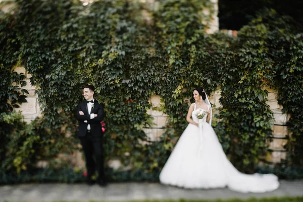 Olhe Cima Belo Casamento Casal Beijando Jardim Noite — Fotografia de Stock