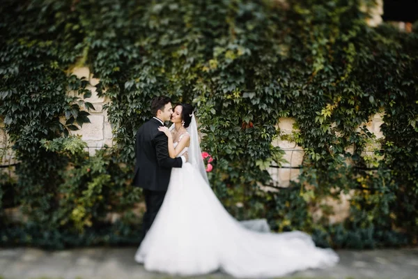 Подивіться Зверху Красиву Весільну Пару Поцілунки Вечірньому Саду — стокове фото